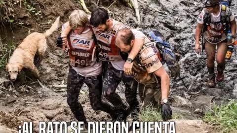 Arthur, el perro callejero que siguió a unos deportistas durante toda una carrera