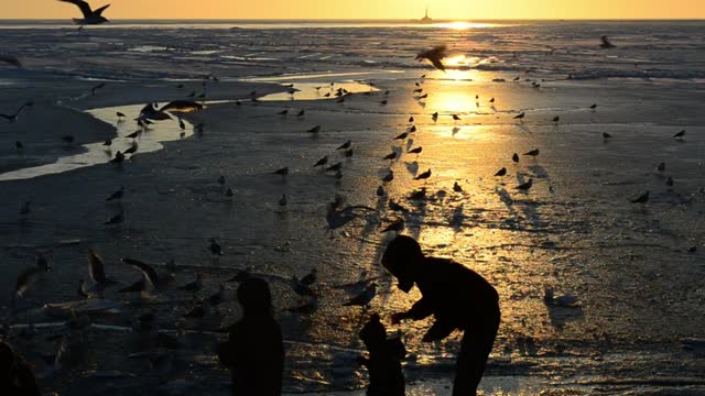 Family feeding birds at sunset - With beautiful music