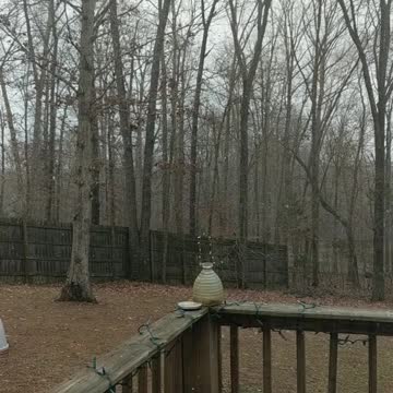 Flurries November 30th 2020