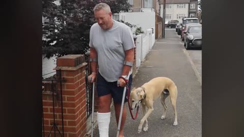 A dog literally laughs at its owner who has a broken leg.