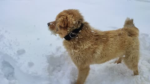 Enjoying snow with my friend