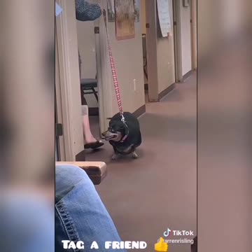 THAT'S A BIG SAUSAGE!!!!!