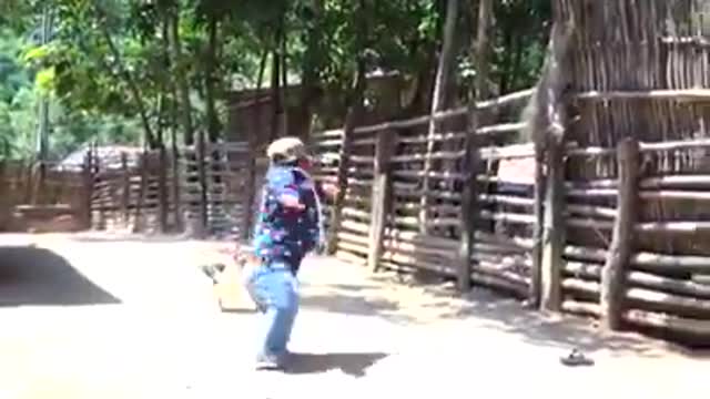 duck versus viral dwarf