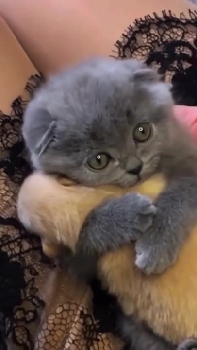 He hugs him like a child