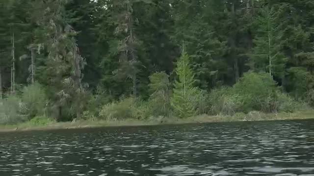 Patriot Fishing part 3-6