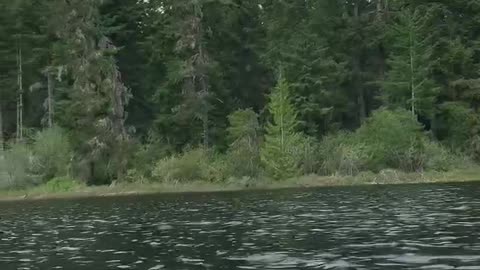 Patriot Fishing part 3-6
