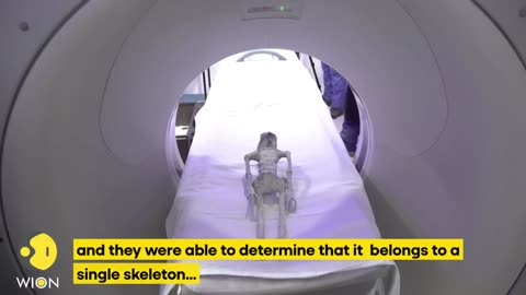 mexican UFO experts conducts an x-ray on 'non human' beings presented at congress