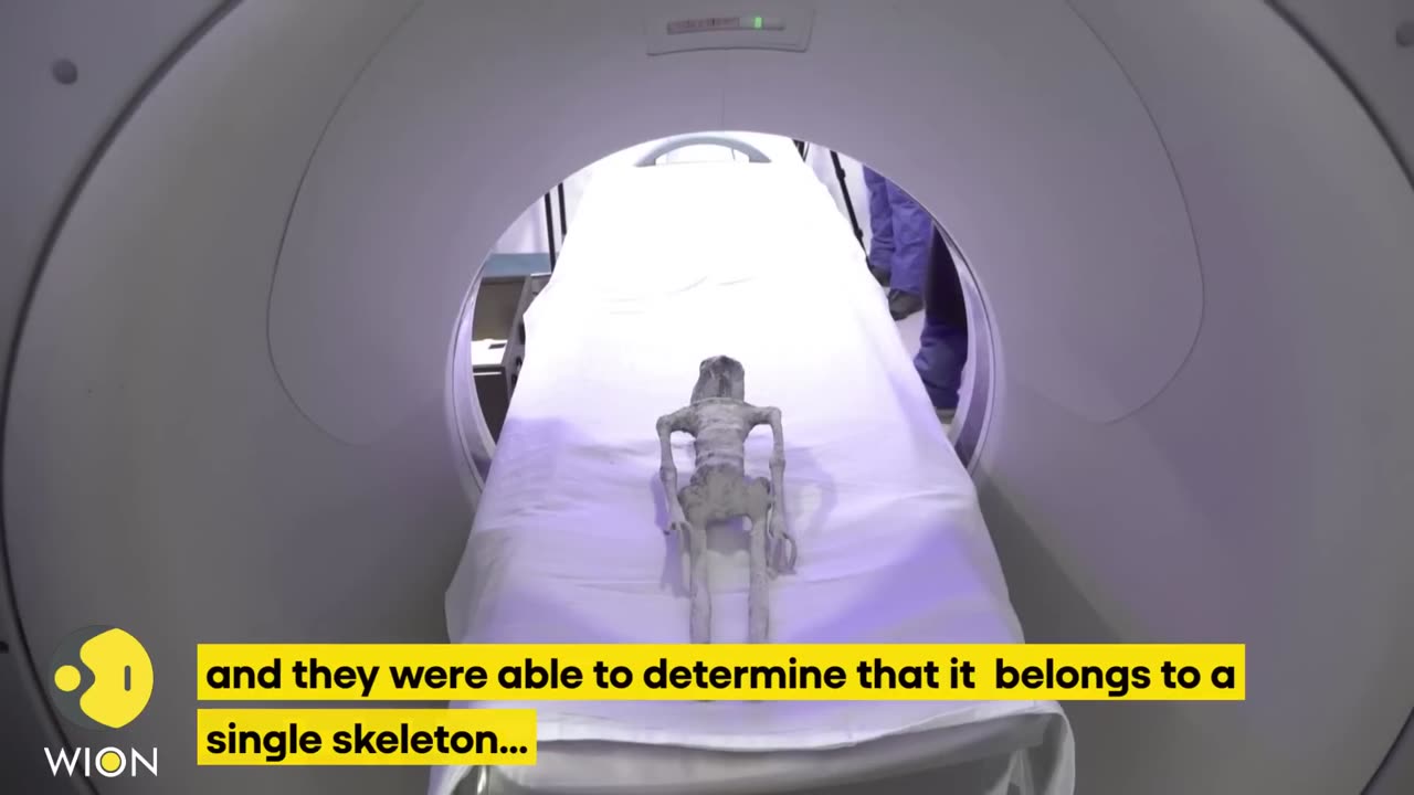 mexican UFO experts conducts an x-ray on 'non human' beings presented at congress