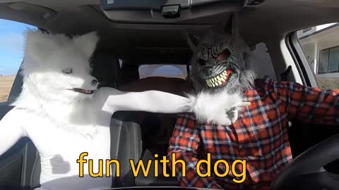 Fun with dog |very funny video