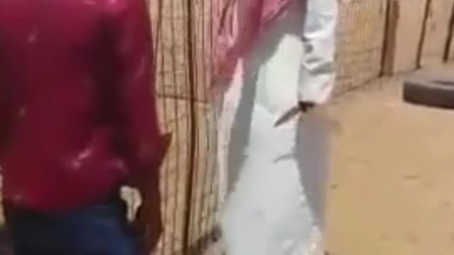 Stupid saudi arabia comedy Funny