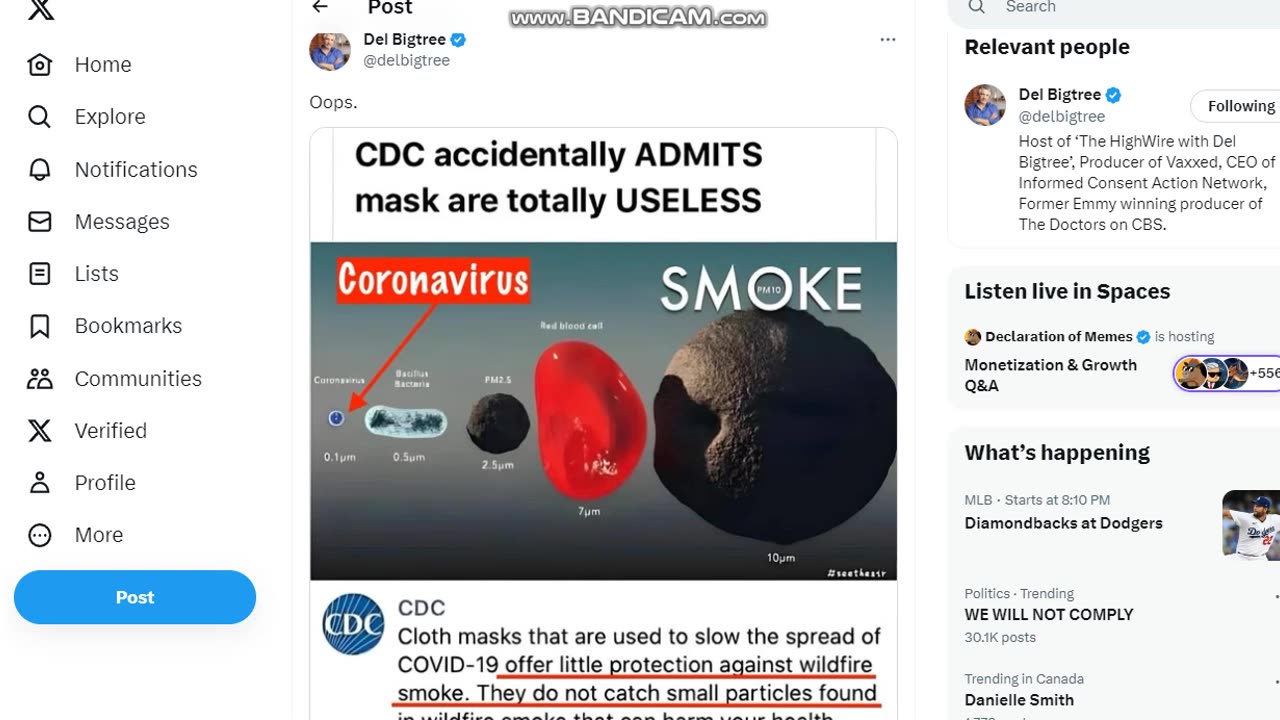 The CDC admits masks do not work