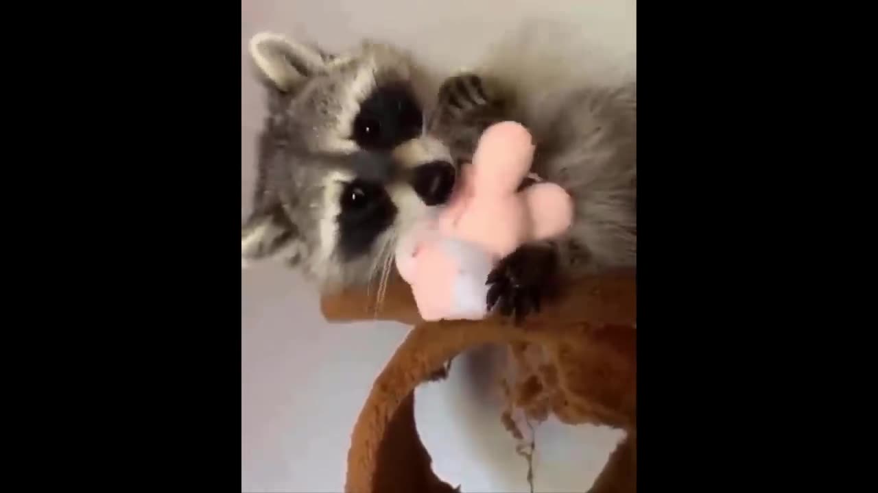 CUTE ANIMAL BABY COMPILATION