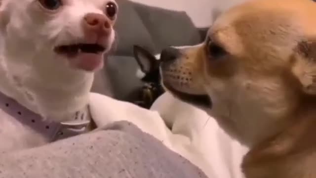 Family meeting