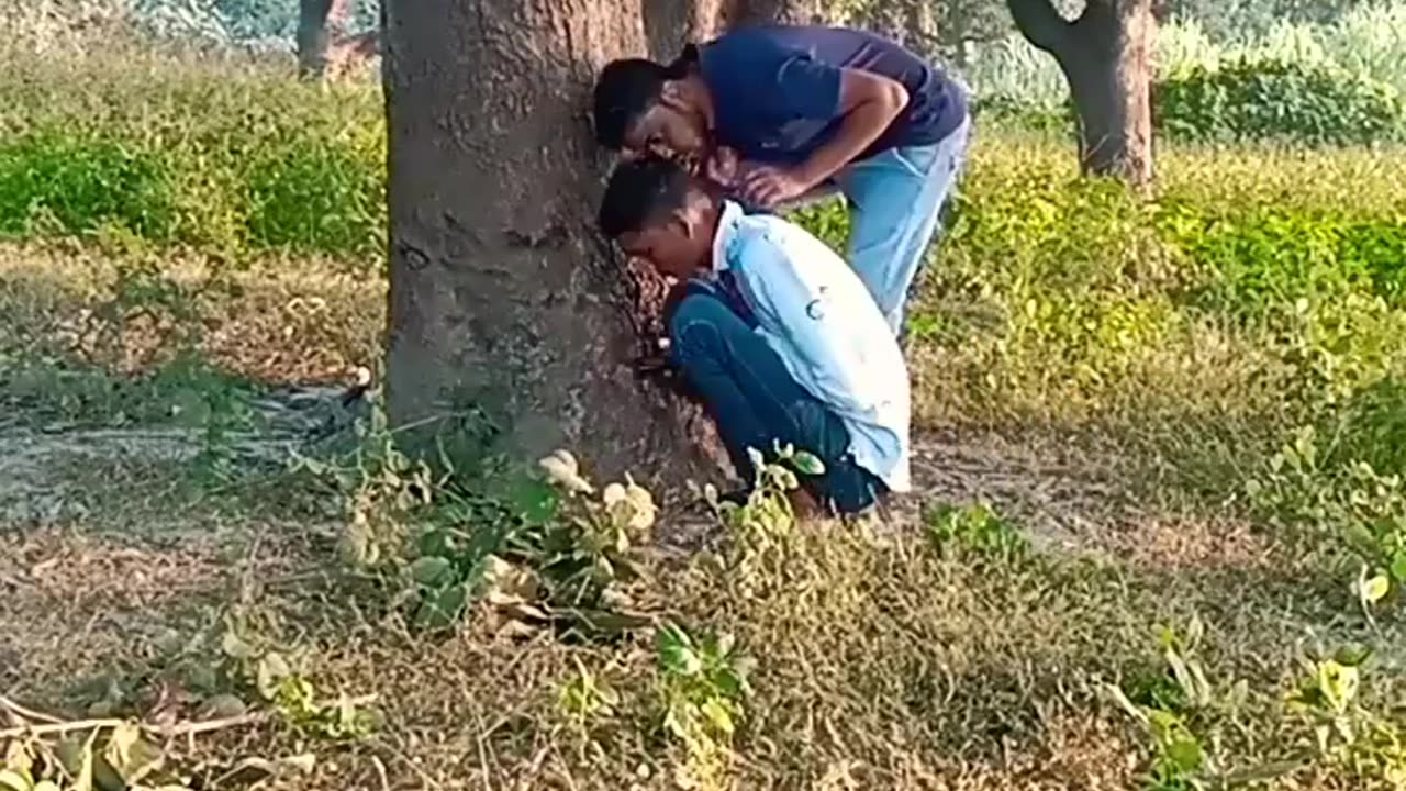 comedy video