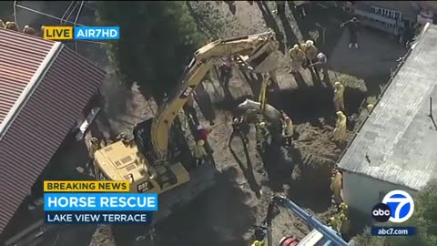 A horse named Lucky was hoisted to safety after getting stuck in a sinkhole for hours