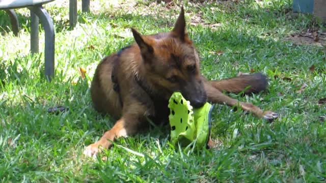 FUN AND GAMES ON A HOT DAY