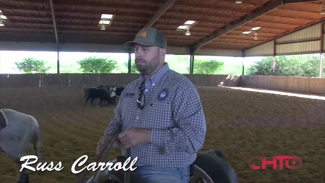 Cutting Horse Training For Beginners with Russ Carroll