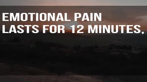 All About Emotional Pain