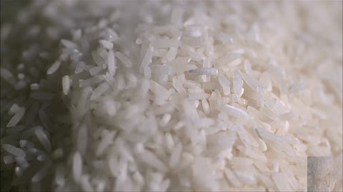 Deep water rice