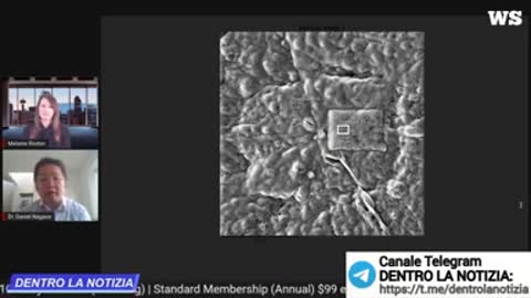 Team canadese analizza al microscopio elettronico i "vaccini"