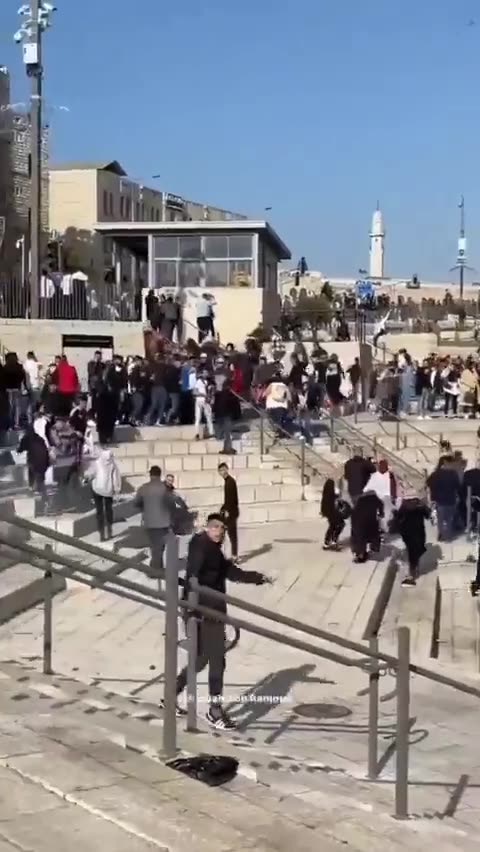 La polizia Israeliana usa una violenza inusitata contro una ragazzina