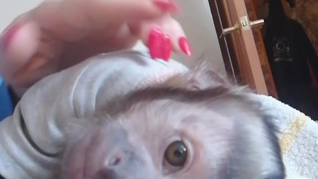 Дневной отдых