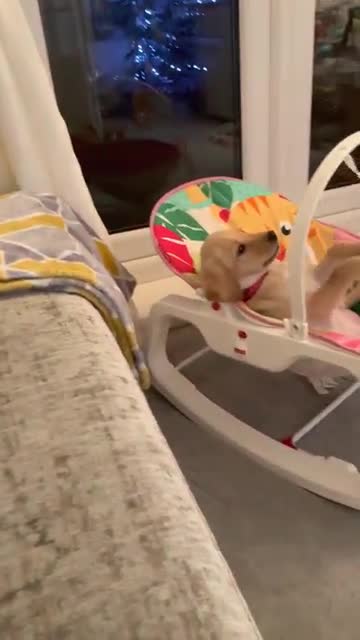 Bought a child seat for a child