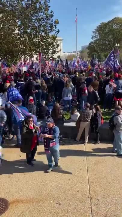 Million MAGA March Alex Jones Epic!