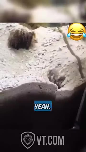 Fish Fight Caught on Camera 🤜 🐠