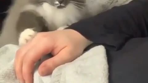 For more cut kitiies 😳😂