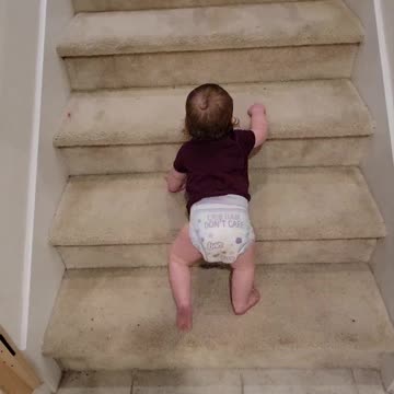 Baby climbing stairs