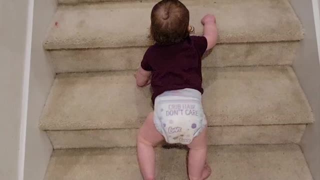 Baby climbing stairs