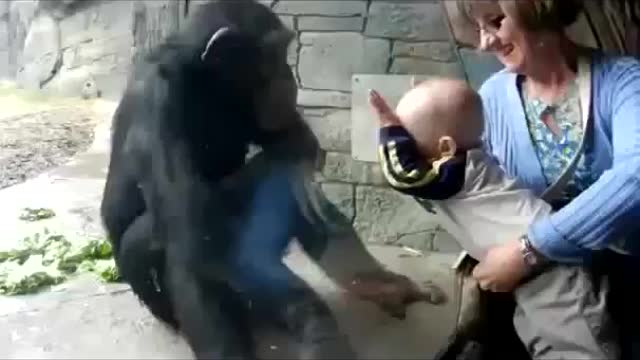 A little monkey plays with a child 🐒👶