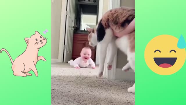 Boy is laughing because of the cat