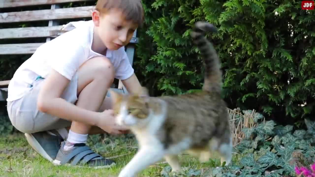 20 Common Mistakes Cat Owners Make