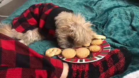 Santa need help