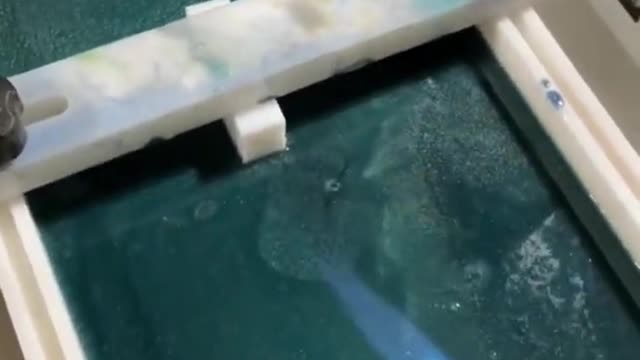 Wood working video #shorts
