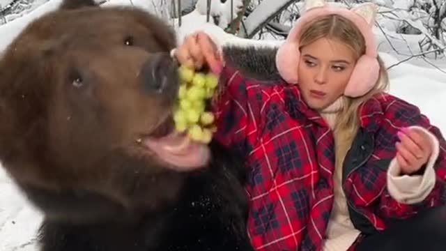 Brown bears are omnivorous, eating anything that they can get their paws on.