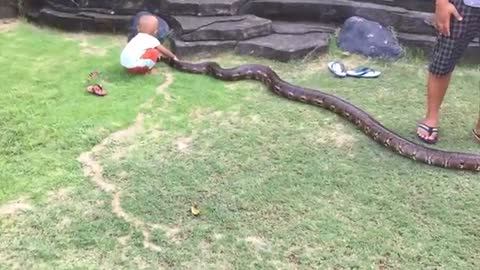 Two year baby play with snake