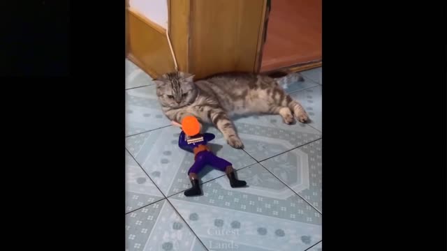 💗Cute And Funny Pets | Try Not To Laugh To These Pets Compilation #7💗 Cutest Lands