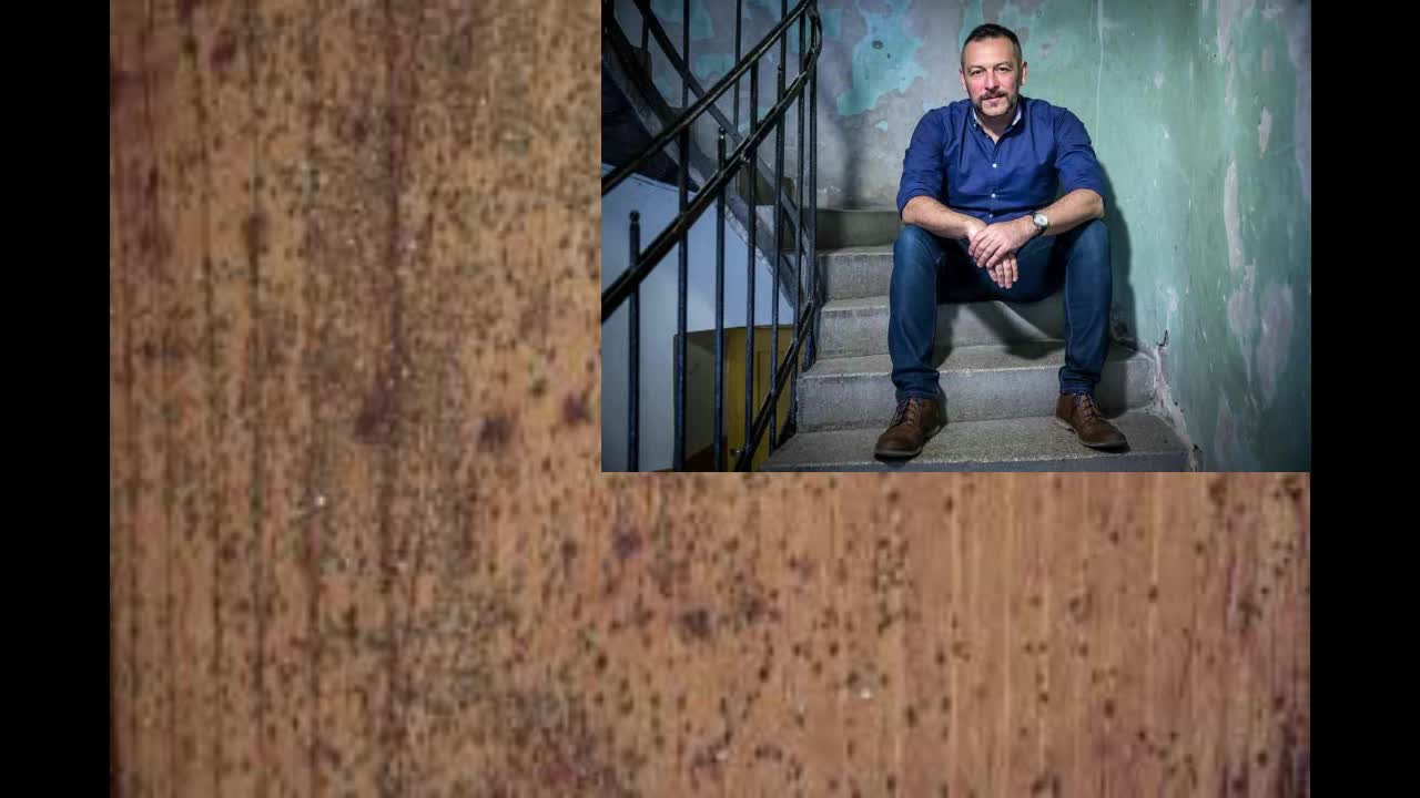 Feketepenész és új botor illat