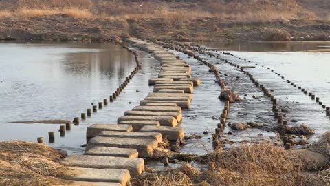 It's a stone wall road in the countryside of Korea. Isn't it pretty?