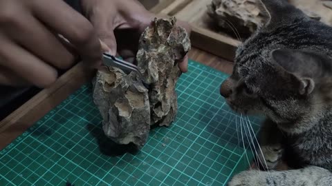 Don't throw away the coconut shell after drinking, make a glowing mushroom house 2