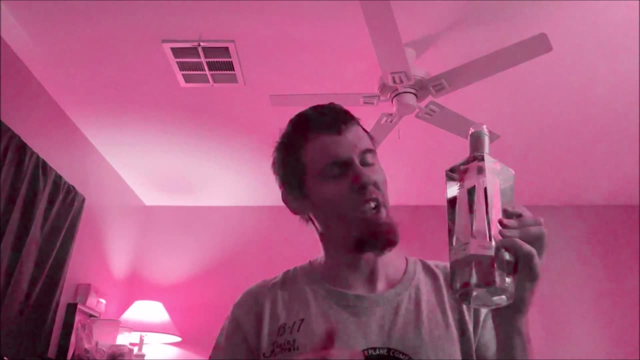 Being an Idiot 274