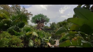 Short Visit to Animal Kingdom Today Oct 25, 2021