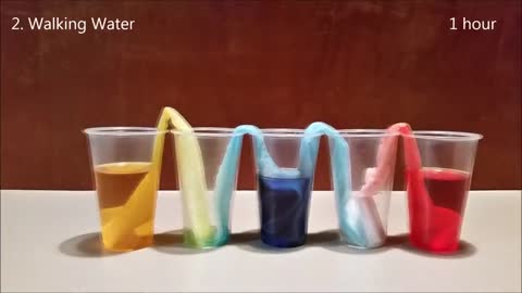 10 Amazing Experiments with Water