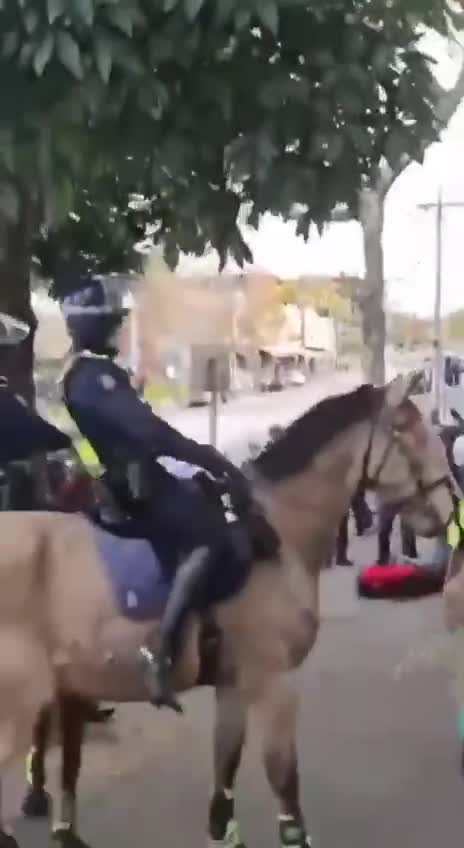 Shocking scene out of Australia.