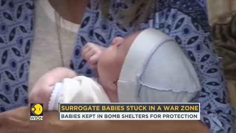Surrogacy industry in Ukraine hit by war, citizenship of newborn babies unclear
