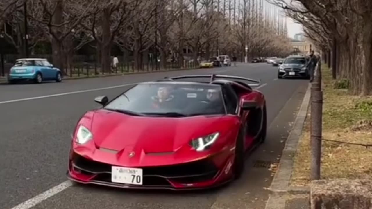 Lamborghini 🚗🚨🚨🚨