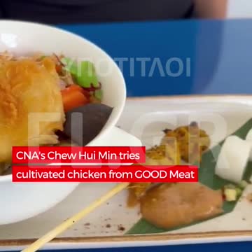 ΚΙΝΖΕΖΑ ΡΕΠΟΡΤΕΡ ΤΡΩΕΙ ΤΕΧΝΗΤΟ ΚΟΤΟΠΟΥΛΟ ΚΑΙ ΑΝΑΦΕΡΕΙ